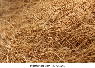 Fibra De Coco