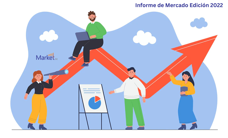 Agitadores digitales aéreos market Agitadores digitales aéreos market